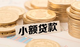 北京13哪里有小额贷款-北京13身份证贷款平台-北京13民间短借